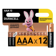 Батарейки тип AAA (мизинч) LR03/286 DURACELL BL12 