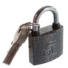 Замок навесной АЛЛЮР ВС1Ч-330 d5мм полимер 